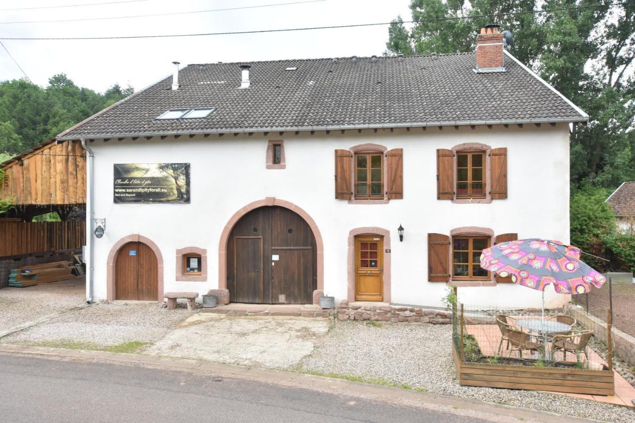 Serendipity For All Apartments Saint-Die-des-Vosges Exterior photo